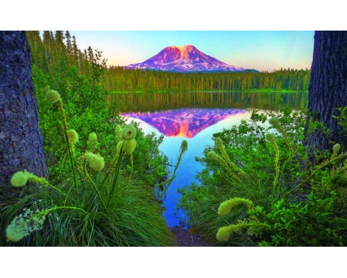 Desk Calendar DC21